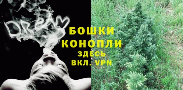 спиды Горно-Алтайск