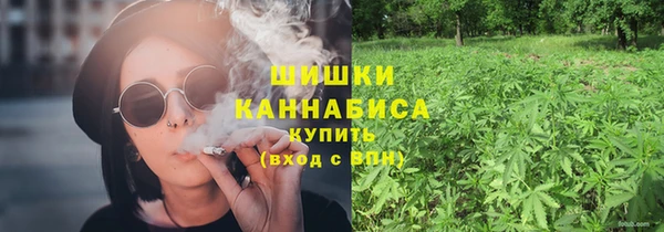 гидропоника Гусиноозёрск